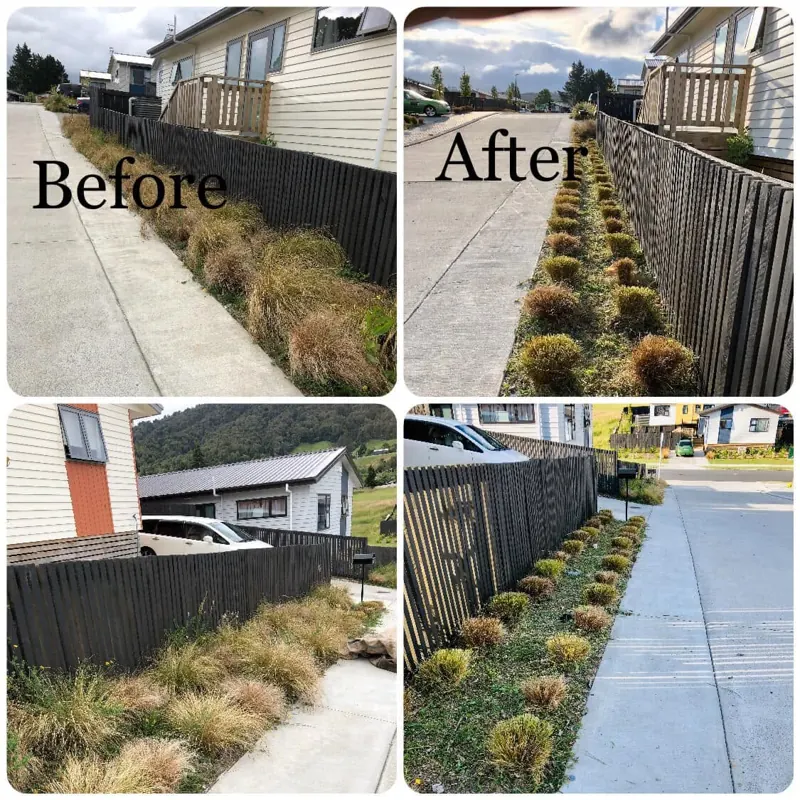 Before and after of a weedy street-front garden strip, cleared and tidied