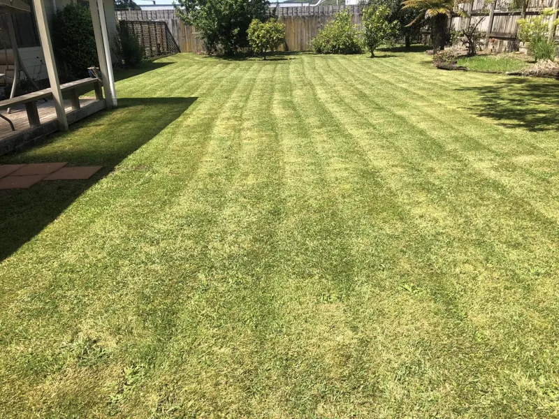 Wide back lawn mown in neat stripes